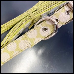Lime Green & White Polka Dot Dog Leash & Collar set. 🐾